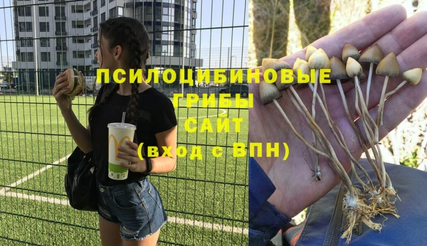 наркотики Абаза
