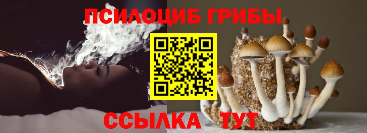 Галлюциногенные грибы MAGIC MUSHROOMS Канск